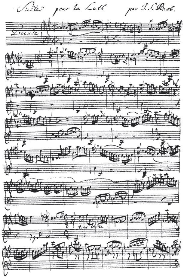 Music Theory & Notation